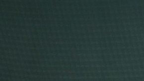 West Ham anunció el fichaje de Javier "Chicharito" Hernández