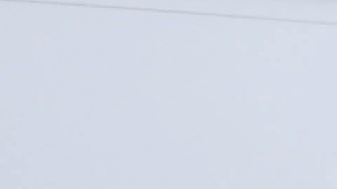 La Patrulla Fronteriza no tiene suficientes controles internos y un alto número de despidos y problemas disciplinarios. (Foto Archivo)