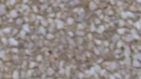 Crece el nerviosismo ante la entrada en rigor de está recia ley anti-inmigrante