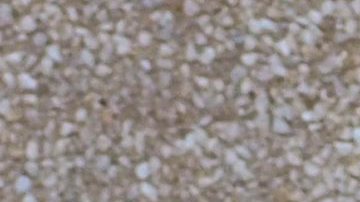 Crece el nerviosismo ante la entrada en rigor de está recia ley anti-inmigrante