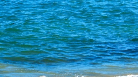 Playa en Monterey, California.