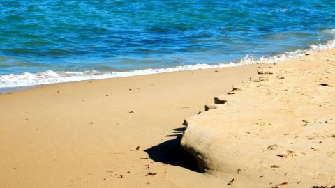 Playa en Monterey, California.