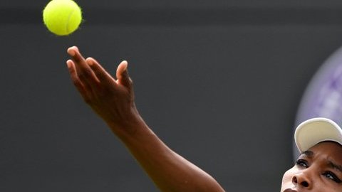 Tenis