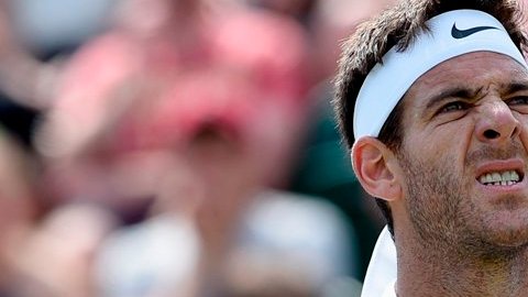 Wimbledon Tenis