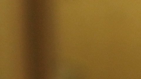 México de mis Amores anima a los mexicanos a conocer más de su patria. (EFE)