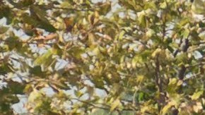 El conductor podría pasar el resto de su vida tras las rejas