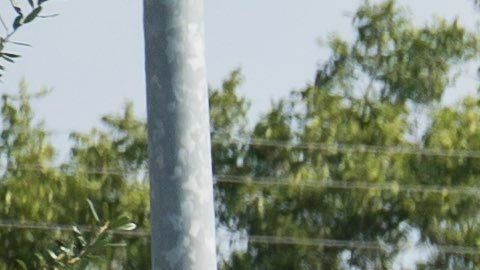 Ya son 10 las personas fallecidas