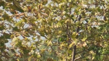 Las autoridades de Texas informaron que la víctima falleció en una caja que medía 30 pulgadas de largo, 26 pulgadas de ancho y 16 pulgadas de profundidad.