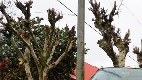 En general se siente que Ernestina está quedada en el tiempo.