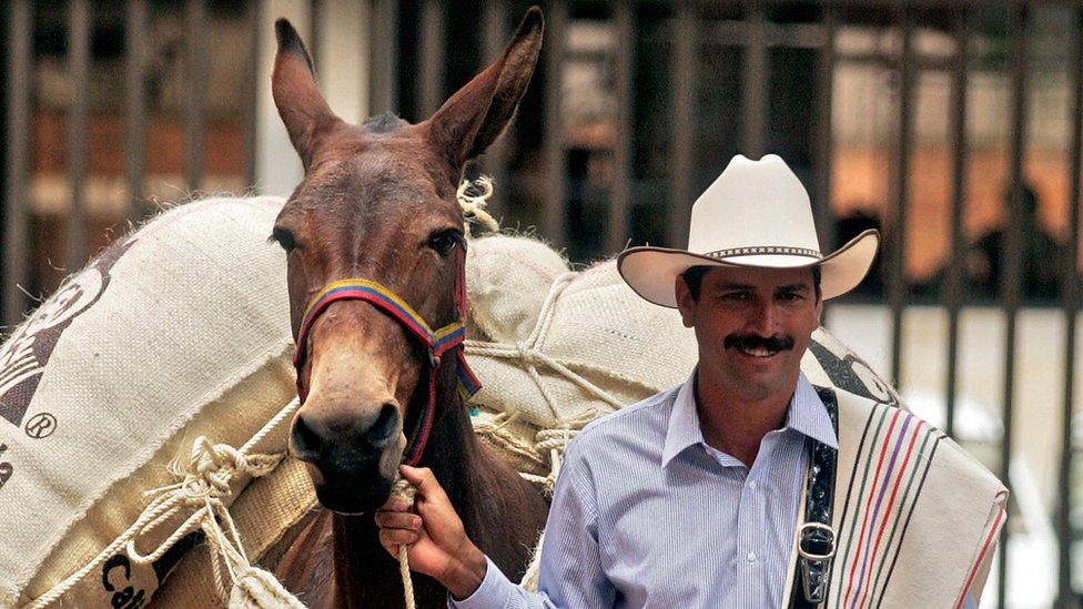 ¿Podrían 10 centavos de dólar resolver el gran problema del café en el mundo?