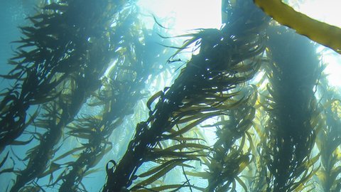 Aguas internacionales