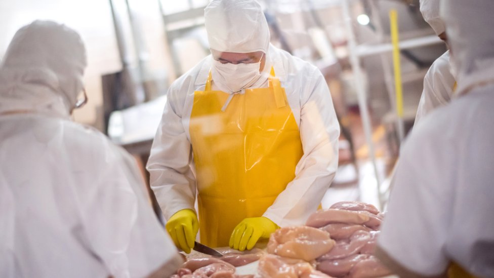 El uso de la técnica de clorado de pollo no ha afectado a las exportaciones estadounidenses.