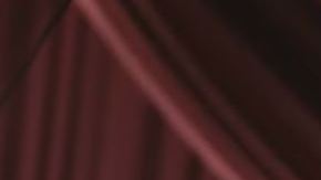 Carmen Puliafito, 66, fue rector en USC durante nueve años.