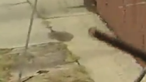 Momento del accidente.