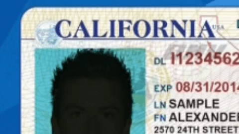 El género neutro se identificaría con una X