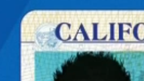 El género neutro se identificaría con una X