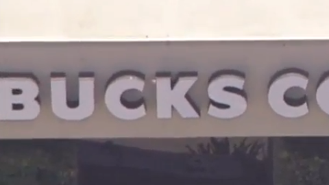 Coche accidentado dentro de Starbucks.