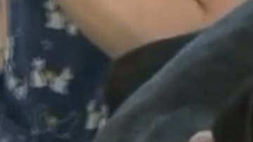 Uno de los perros rescatados.