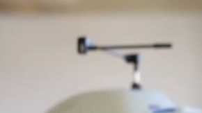 Carmen Puliafito, 66.