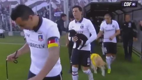 Jugadores del Colo Colo chileno compañados de perritos sin hogar.