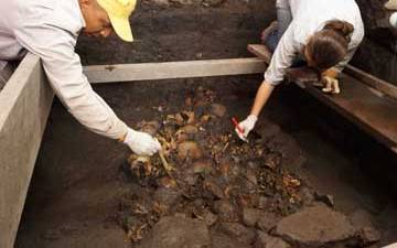 Los primeros cráneos fueron hallados en 2015.