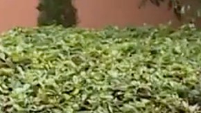 Cristian Zuárez al fin habla sobre su separación de Laura Bozzo