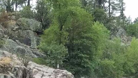 Hay alerta por fuertes tormentas en Arizona hasta el lunes en la noche