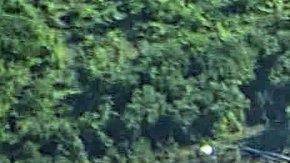 Se han confirmado la muerte de 16 de sus ocupantes