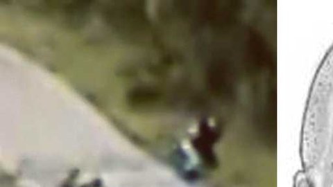 Retrato robot del sospechoso.