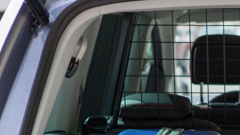 El maletero bien equipado puede ser el mejor lugar para que viajen los perros.