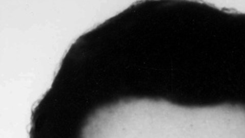 Donald Eugene Webb