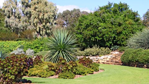 Es posible sembrar un hermoso jardín de plantas resistentes a la sequía.