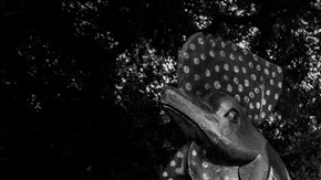 La banda El Haru Kuroi actuará el 14 de octubre.