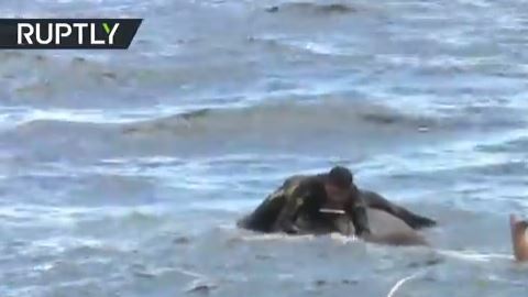 Elefante en el mar