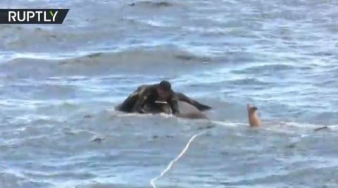 Elefante en el mar