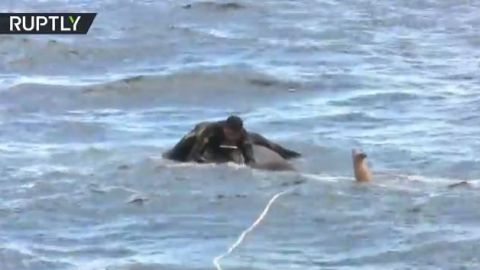 Elefante en el mar