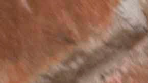 Rafael Amaya es Aurelio Casillas en "El Señor de los Cielos"