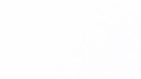 Entre sus beneficios, el aguacate ayuda a bajar los niveles del colesterol malo.