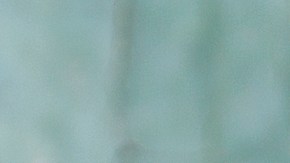 Las cerezas son buenas para bajar y prevenir la inflamación.