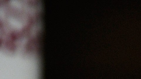 La derecha-alternativa ha estado fuertemente vinculada con las políticas de Trump