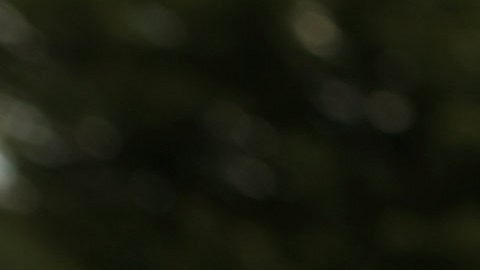 Trump dijo que los medios "falsos" distorsionan la democracia