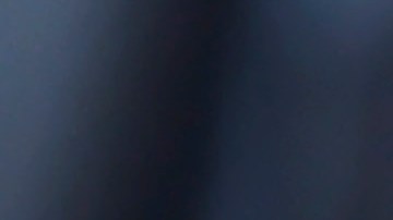 El presidente del sindicato de la Patrulla Fronteriza salió a felicitar a Trump