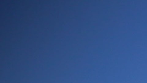 La aplicación se llama Jornaler@ y está disponible para todo tipo de teléfonos celulares