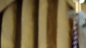 La Casa Blanca minimiza los rumores sobre el movimiento de Sessions