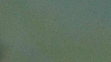 Trump no se resiste a perder su primera gran batalla en el Congreso