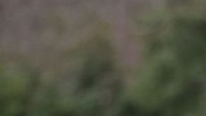 Donald Trump con sus nietos Arabella y Joseph.