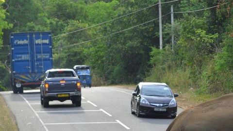 Elefante en Sri Lanka