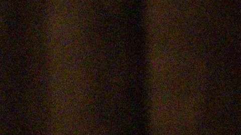 Trump hace sentir su poder en la decisiones de vicepresidente Pence