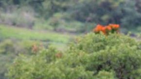 Violencia en México.