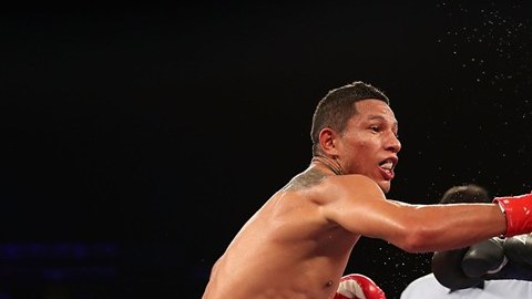 Boxeo